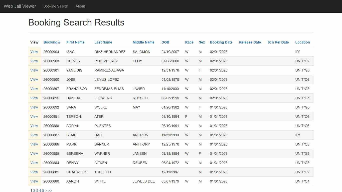BookingSearchDetail - Web Jail Viewer